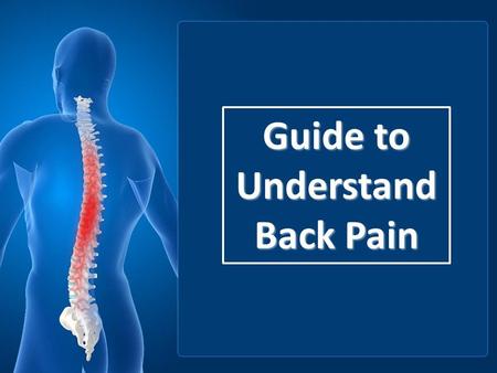 Guide to Understand Back Pain