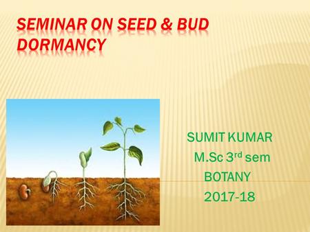 SUMIT KUMAR M.Sc 3 rd sem BOTANY  DORMANCY SEED & BUDS