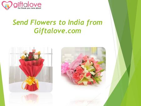 Send Flowers to India from Giftalove.com. Roses Online.