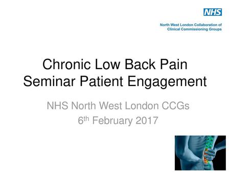 Chronic Low Back Pain Seminar Patient Engagement