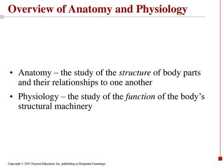 Overview of Anatomy and Physiology