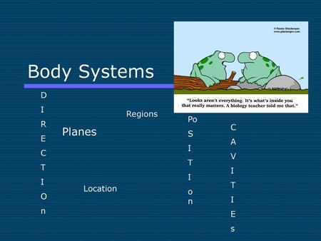 Body Systems Planes D I R E Regions Po C S C T I A T V O I n on T E s