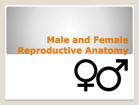 Male and Female Reproductive Anatomy