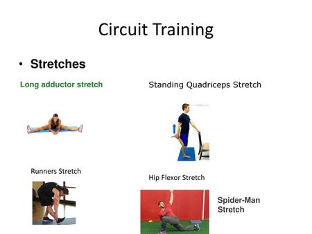 Circuit Training Stretches Long adductor stretch