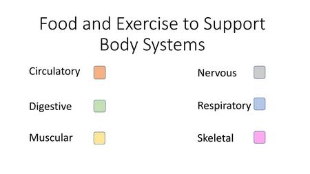 Food and Exercise to Support Body Systems