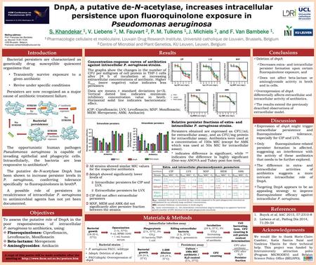 Bacterial persistence