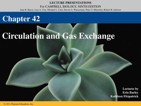 Circulation and Gas Exchange