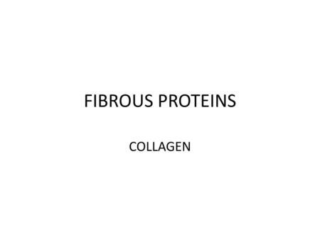 FIBROUS PROTEINS COLLAGEN.