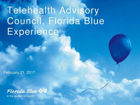 Telehealth Advisory Council, Florida Blue Experience