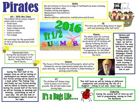 Pirates 2016 Yr 1/2 It’s a Bugs Life…. Maths