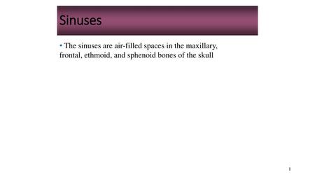 Sinuses The sinuses are air-filled spaces in the maxillary, frontal, ethmoid, and sphenoid bones of the skull.