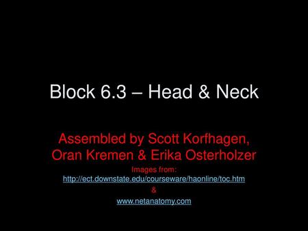 Block 6.3 – Head & Neck Assembled by Scott Korfhagen, Oran Kremen & Erika Osterholzer Images from: http://ect.downstate.edu/courseware/haonline/toc.htm.