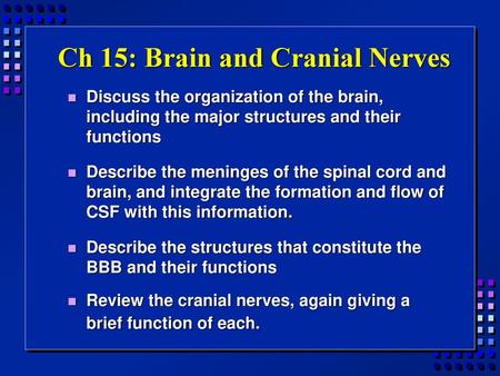 Ch 15: Brain and Cranial Nerves