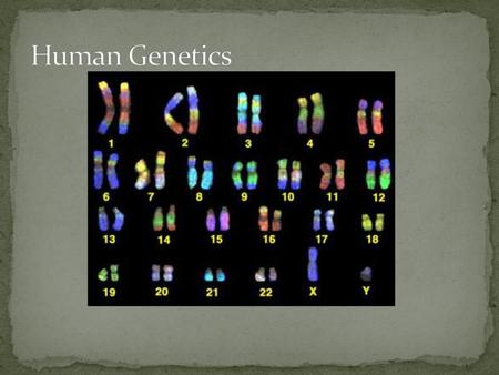 Human Genetics.