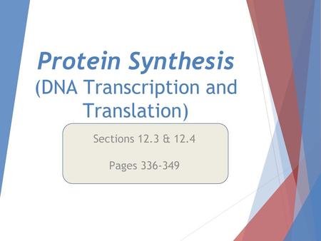 Protein Synthesis (DNA Transcription and Translation)