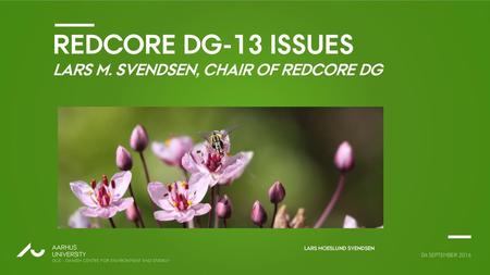 RedCORE DG-13 issues lars M. Svendsen, chair of REDCORE DG