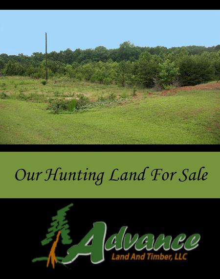 Our Hunting Land For Sale