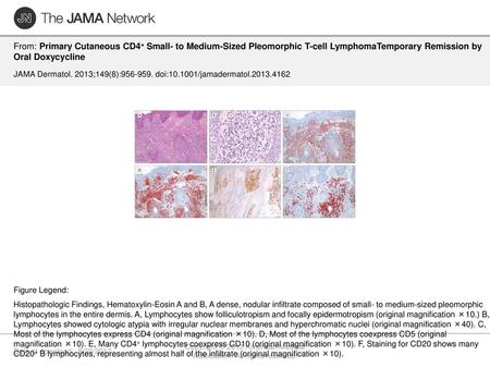 Copyright © 2013 American Medical Association. All rights reserved.