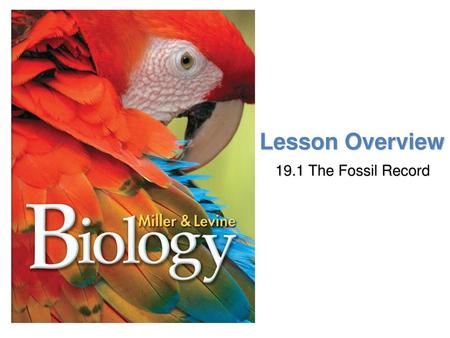 Lesson Overview 19.1 The Fossil Record.