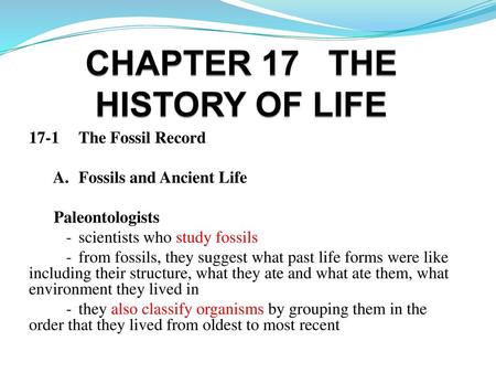 CHAPTER 17 THE HISTORY OF LIFE