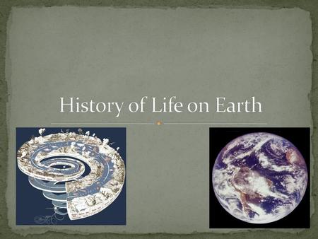 History of Life on Earth