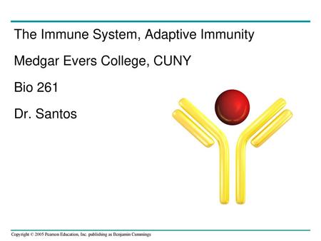 In acquired immunity, lymphocytes provide specific defenses against infection