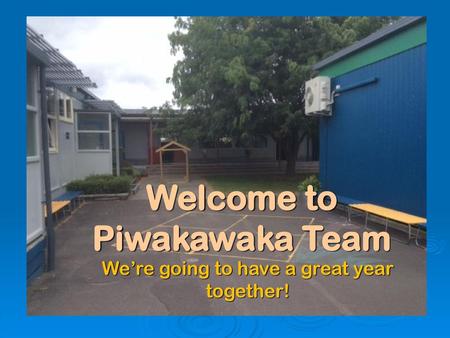 Welcome to Piwakawaka Team