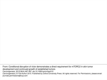 Figure 6. Biochemical analysis of mTORC1- and mTORC2-dependent signaling in response to UVB. iRicKO cells were treated with vehicle or with 4OHT for 3.