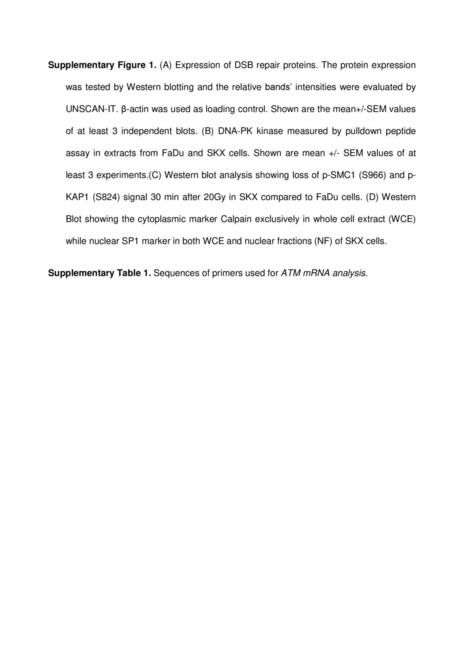 Supplementary Figure 1. (A) Expression of DSB repair proteins