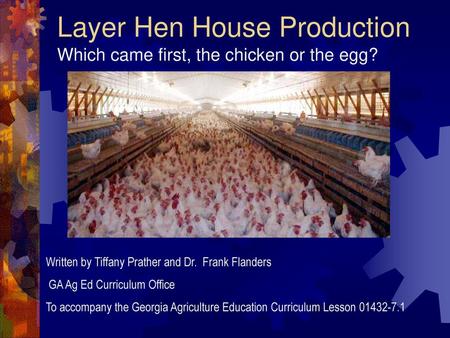 Layer Hen House Production