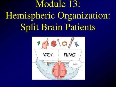 Module 13: Hemispheric Organization: Split Brain Patients