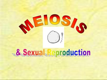 MEIOSIS & Sexual Reproduction.