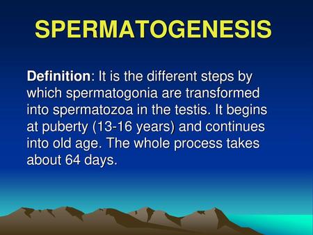 SPERMATOGENESIS Definition: It is the different steps by which spermatogonia are transformed into spermatozoa in the testis. It begins at puberty (13-16.