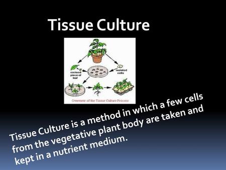 Tissue Culture Tissue Culture is a method in which a few cells from the vegetative plant body are taken and kept in a nutrient medium.