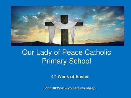 Our Lady of Peace Catholic Primary School