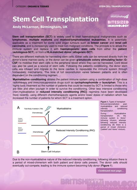 Stem Cell Transplantation