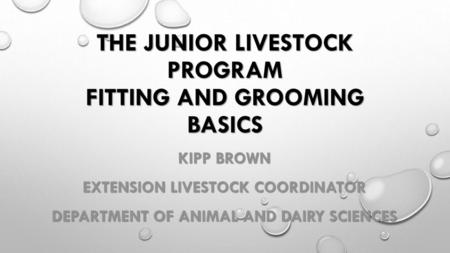 THE JUNIOR LIVESTOCK PROGRAM FITTING AND GROOMING BASICS