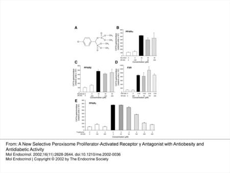 Fig. 1. SR-202 Is a Specific PPARγ Antagonist A, Structure of SR-202