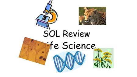 SOL Review Life Science.