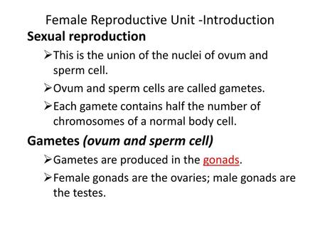 Female Reproductive Unit -Introduction