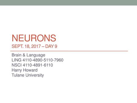 neurons sepT. 18, 2017 – DAY 9 Brain & Language