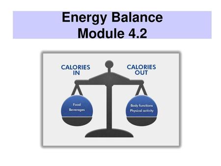 Energy Balance Module 4.2.