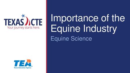 Importance of the Equine Industry