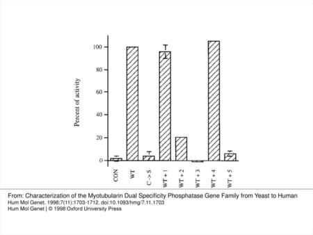 Figure 1 Myotubularin exhibits a tyrosine phosphatase activity