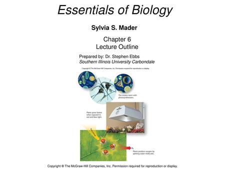 Essentials of Biology Sylvia S. Mader