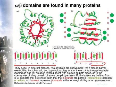 a/b domains are found in many proteins