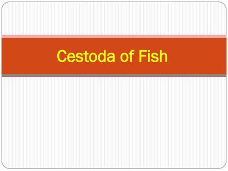 Cestoda of Fish.