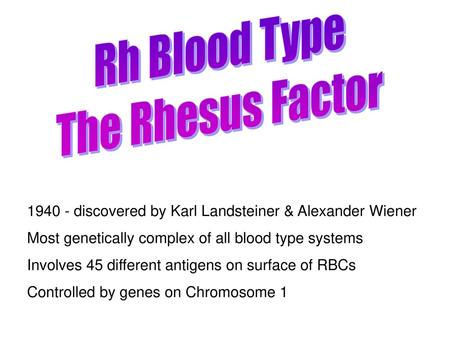 Rh Blood Type The Rhesus Factor