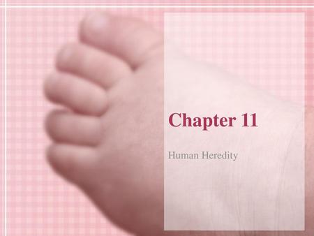 Chapter 11 Human Heredity.