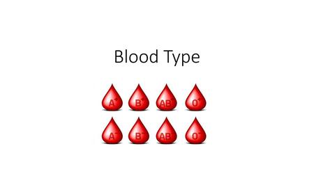 Blood Type.